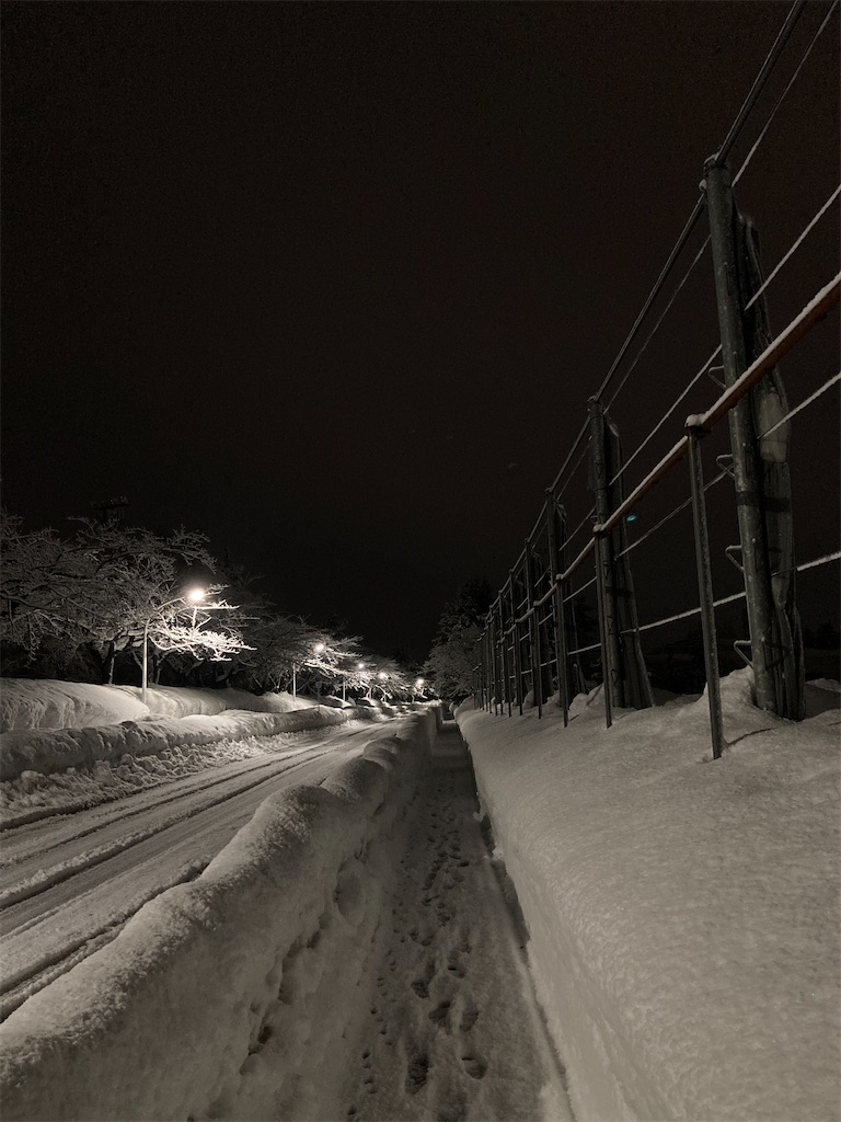 f:id:sotokuro:20241231222151j:image