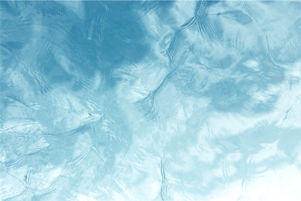 f:id:sotsugyoseitai:20200724124806j:image