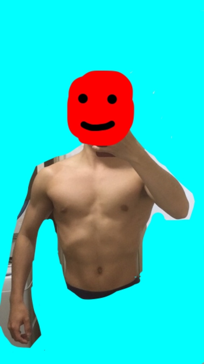 f:id:soturondatabase:20190509203233j:plain f:id:soturondatabase:20190509203233j:plain