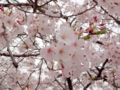 20130331151532