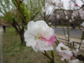 20130331155919