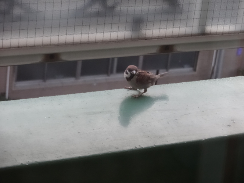 f:id:sou:20130825182543j:plain
