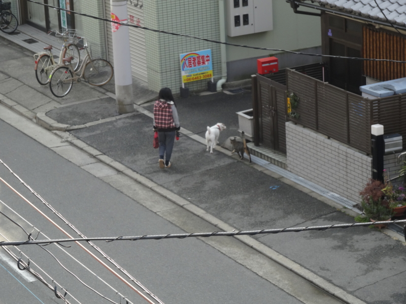 f:id:sou:20140202130307j:plain