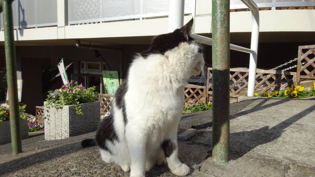 f:id:sou:20151226125235j:plain