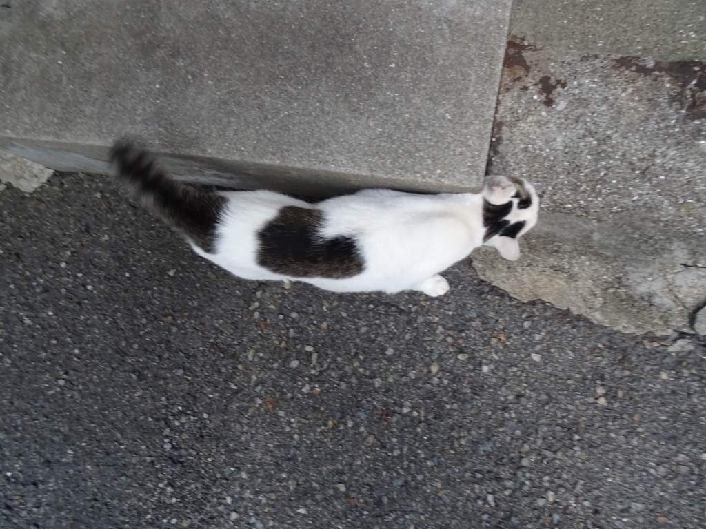 f:id:sou:20160911174524j:plain