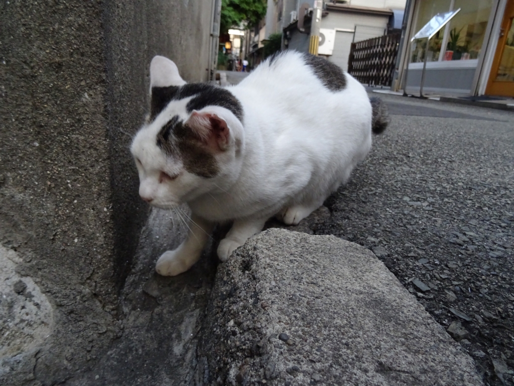 f:id:sou:20160911174619j:plain