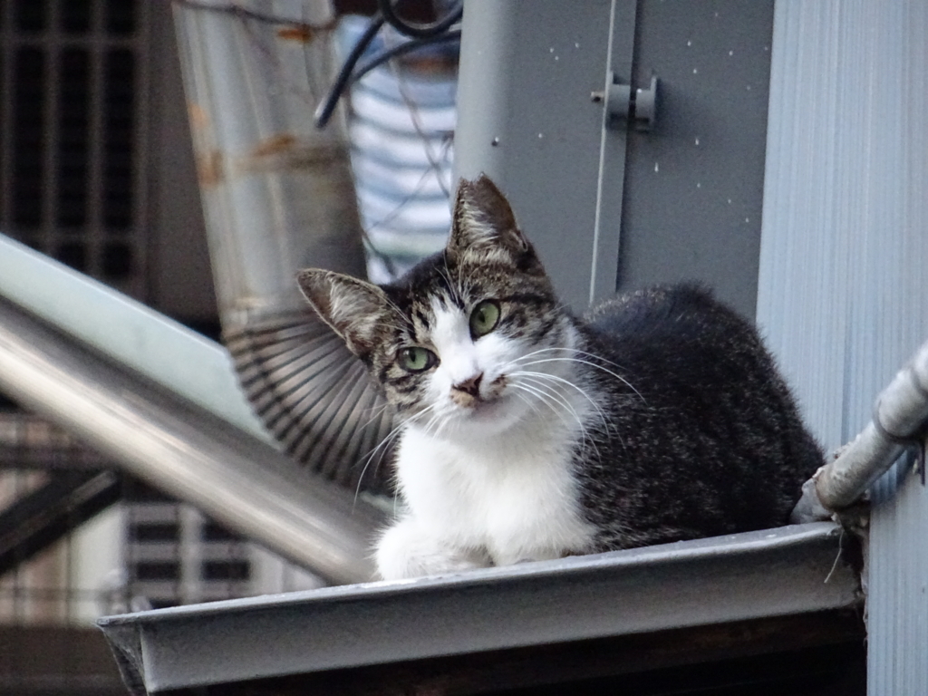 f:id:sou:20170903181108j:plain