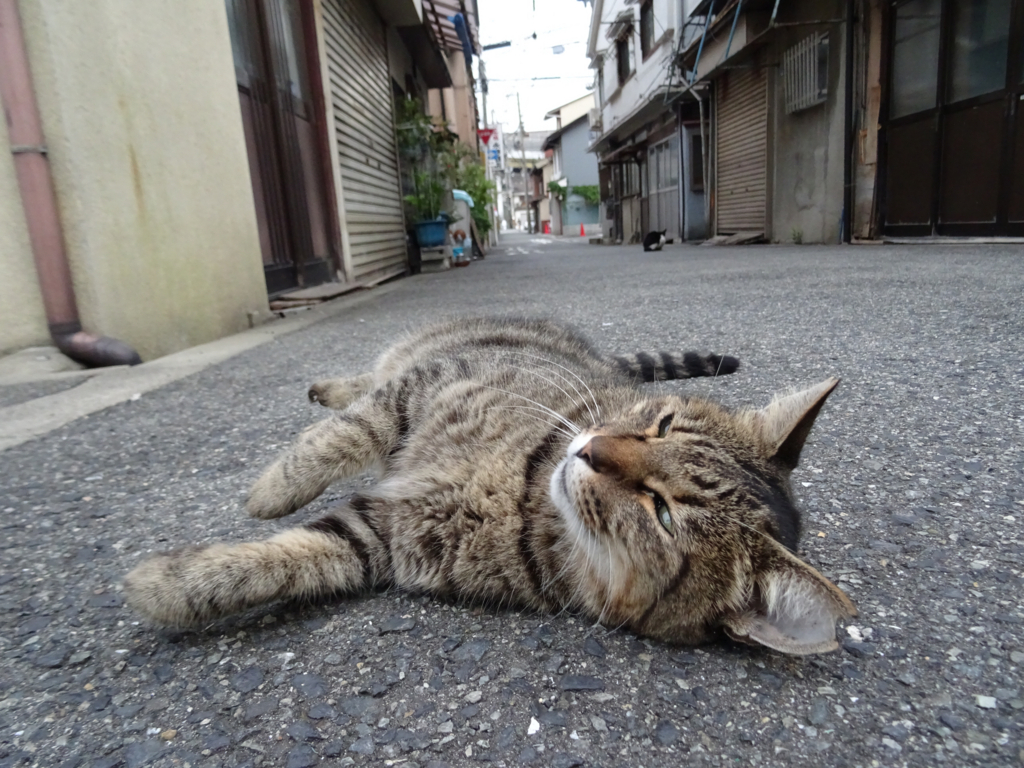 f:id:sou:20170923171002j:plain