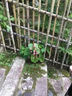 f:id:soudanmama:20190919212225j:plain