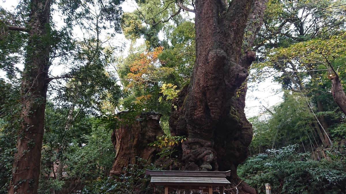 f:id:soufu414:20201231005434j:plain