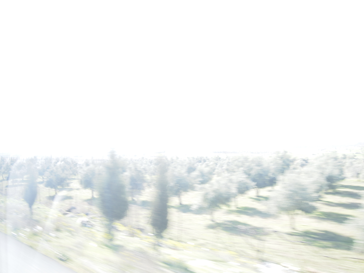 f:id:sougendesu:20190519194013j:plain f:id:sougendesu:20190519194013j:plain