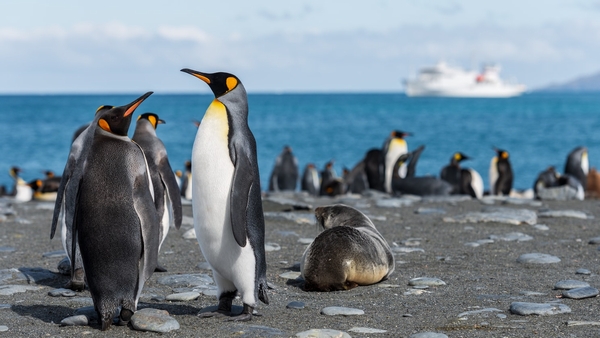 Oracle Linux7.7でyum update