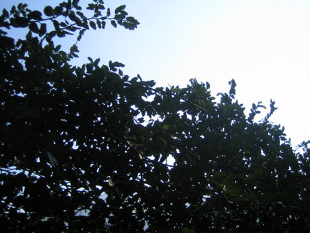 f:id:souk:20050625093305j:image