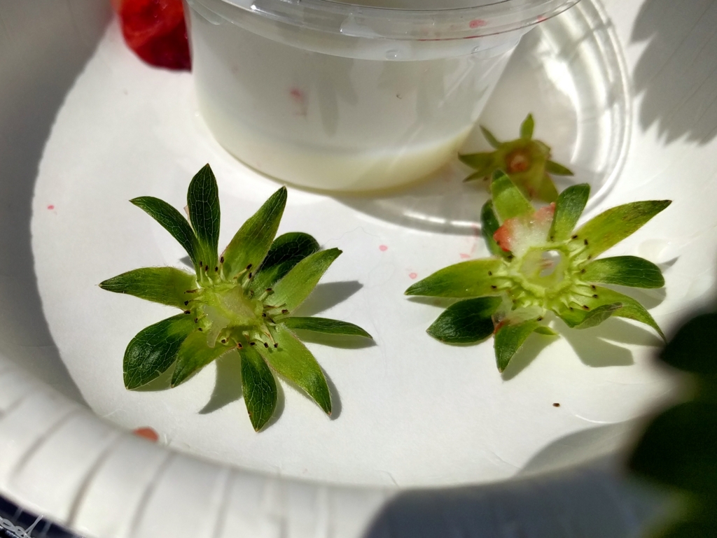 f:id:soulbomber:20170428201840j:plain