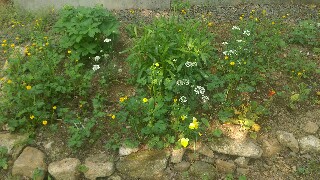 f:id:souldance225:20160527084437j:image f:id:souldance225:20160527084437j:image