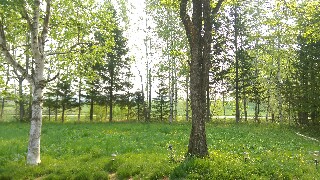 f:id:souldance225:20160527090019j:image f:id:souldance225:20160527090019j:image