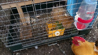 f:id:souldance225:20160601165755j:image f:id:souldance225:20160601165755j:image