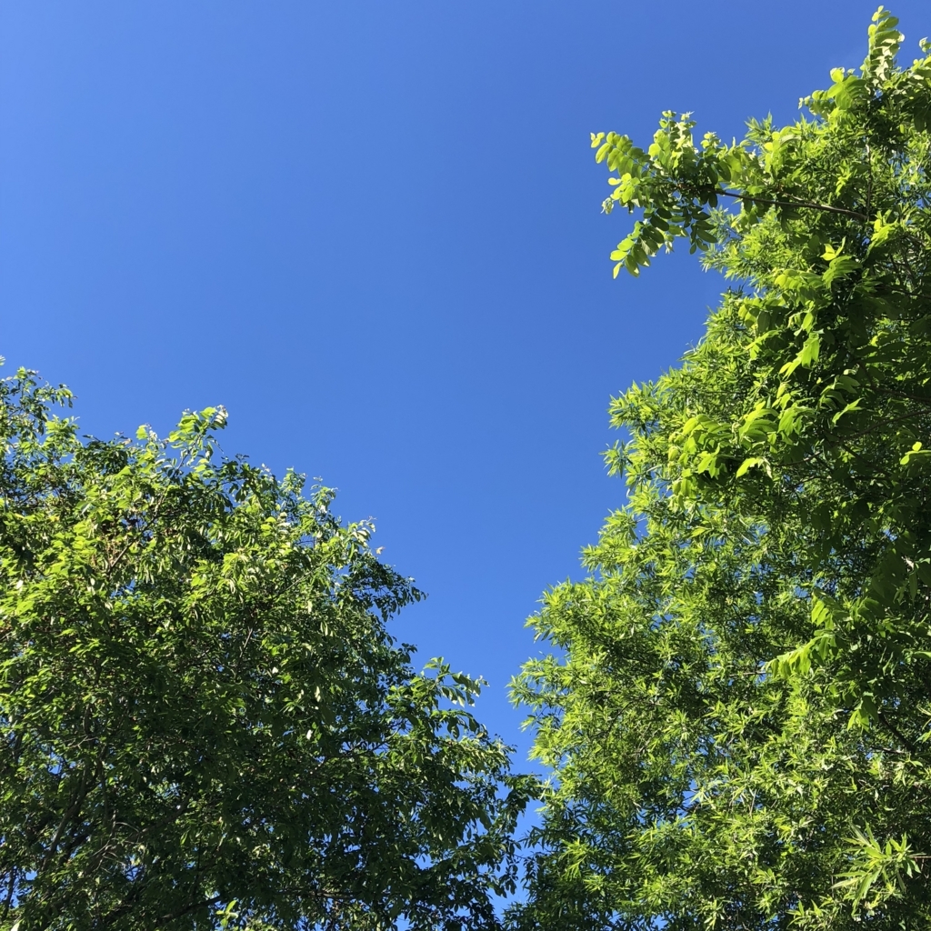 f:id:souldance225:20180614110733j:plain