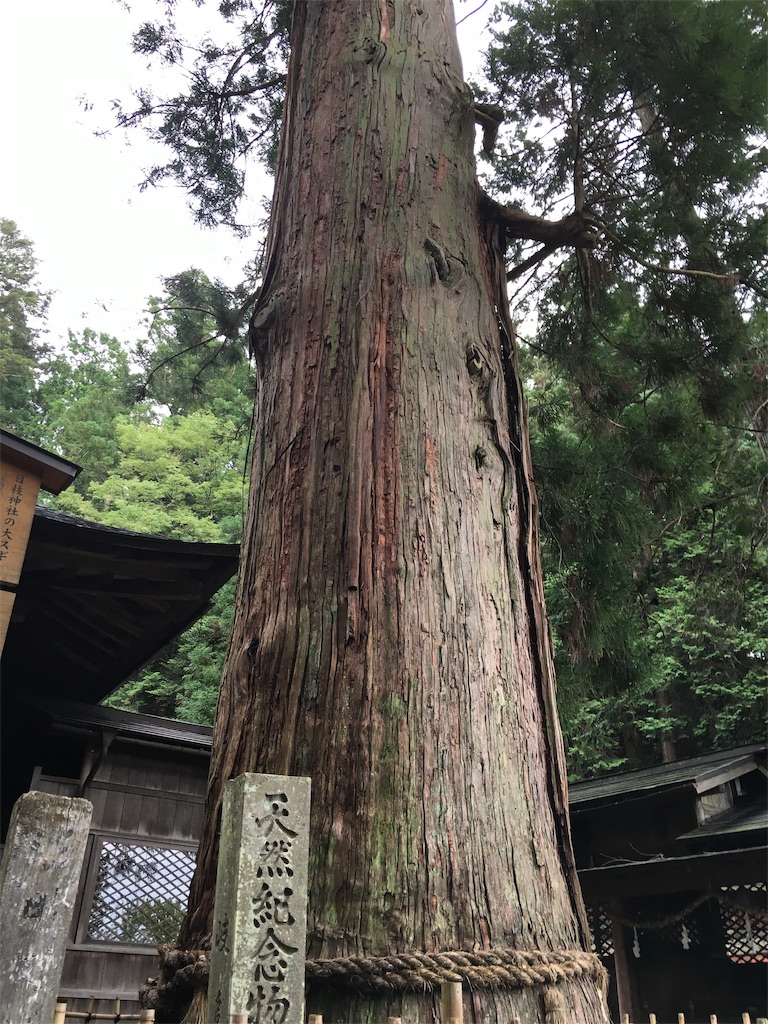 f:id:souljem:20191101181955j:plain
