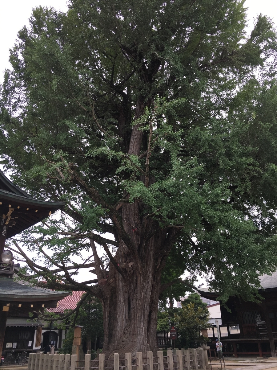 f:id:souljem:20191207035655j:plain