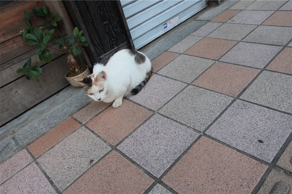 f:id:souljem:20211117185337j:image