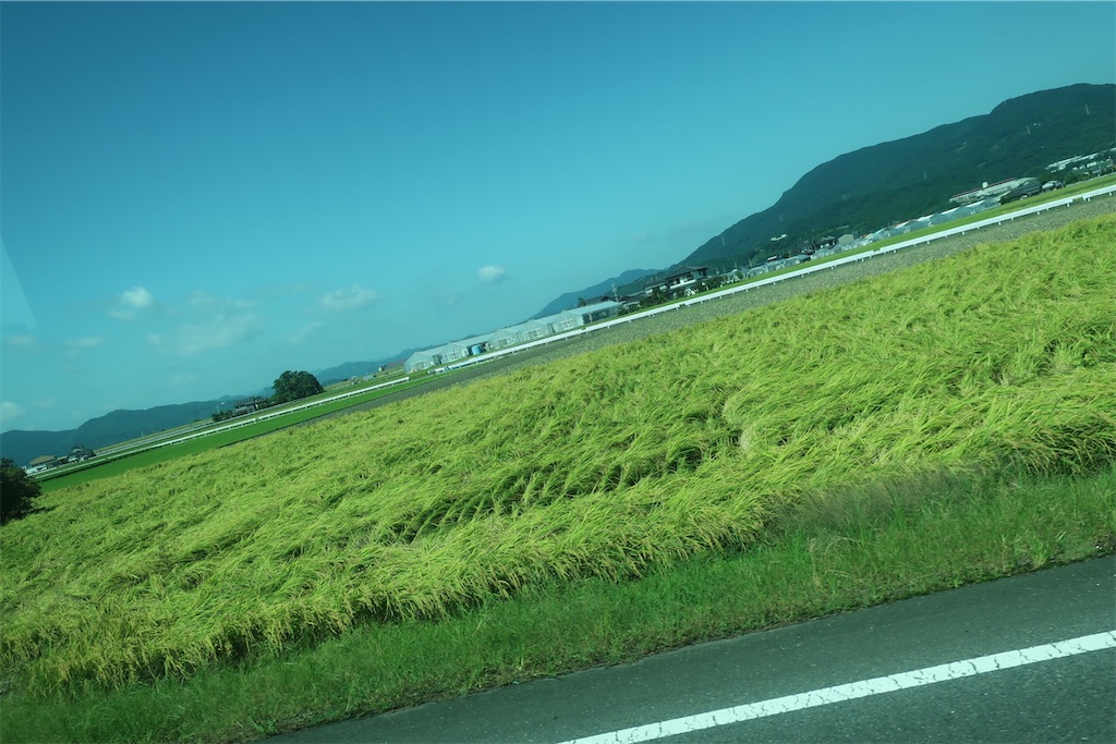 f:id:souljem:20220128020223j:image