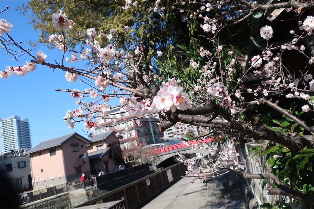 f:id:souljem:20250130165953j:image