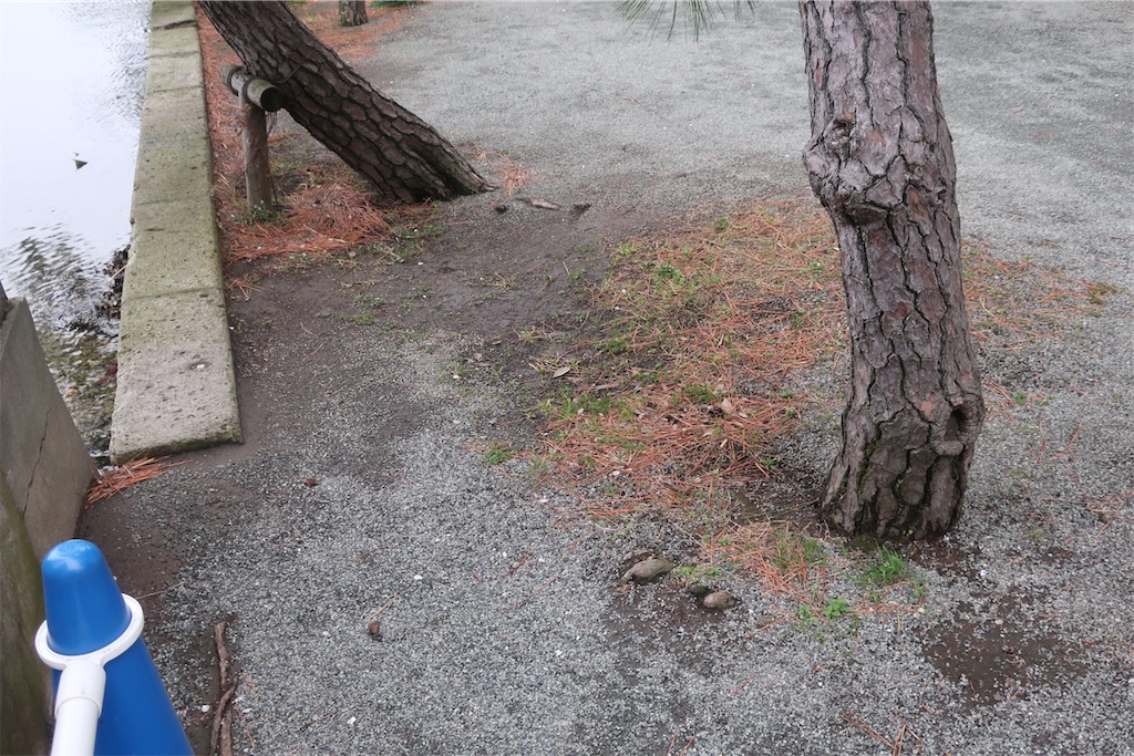 f:id:souljem:20250507164342j:image