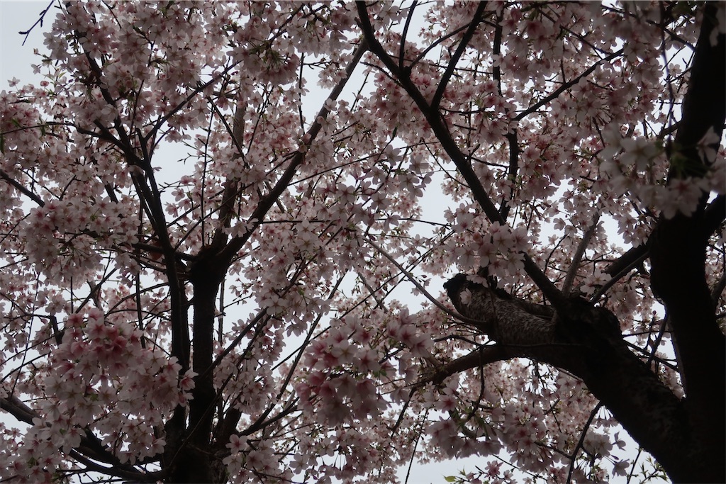 f:id:souljem:20250517170021j:image