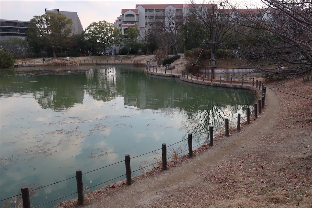 f:id:souljem:20260322170832j:image