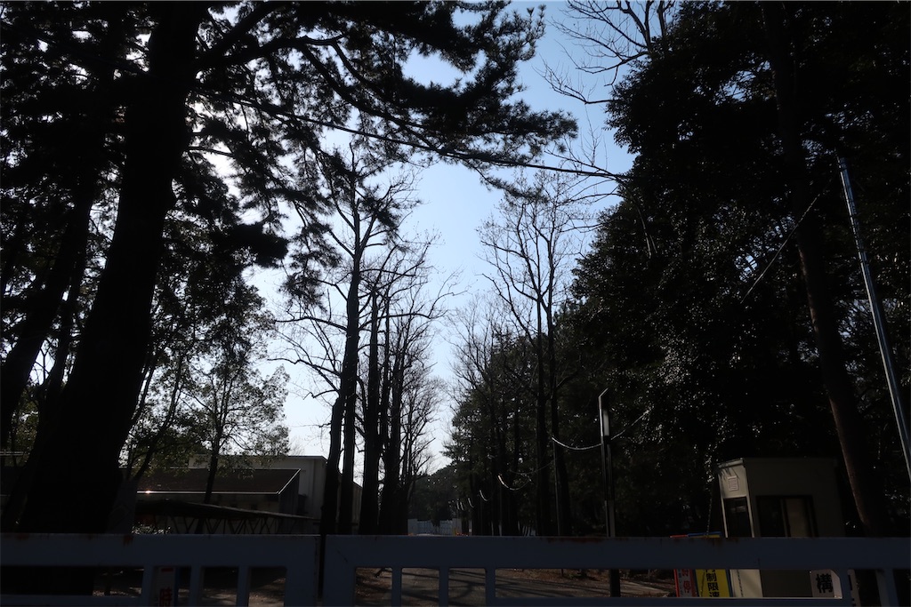 f:id:souljem:20260508173503j:image