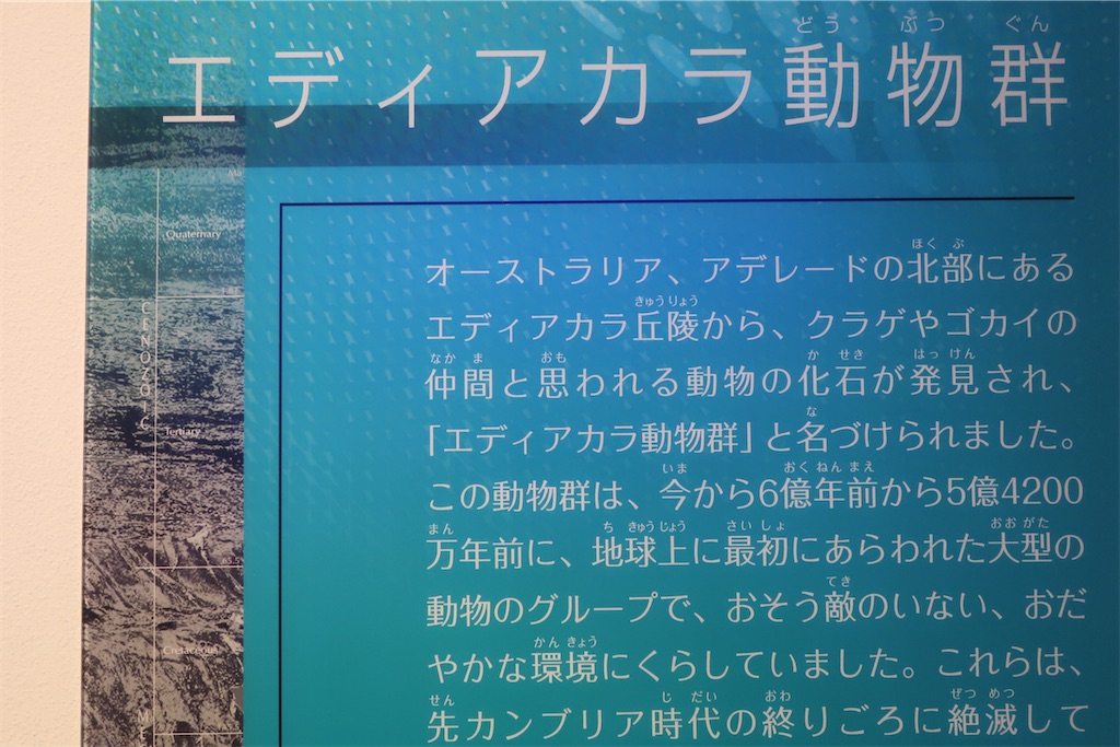 f:id:souljem:20260623230505j:image f:id:souljem:20260623230505j:image