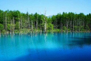 f:id:souma1996:20170524155630j:image