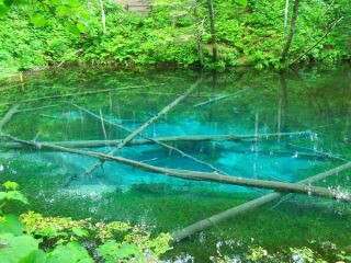 f:id:souma1996:20170524160254j:image