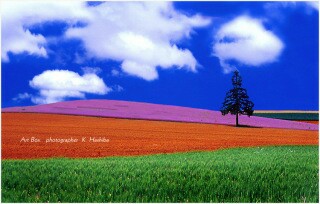 f:id:souma1996:20170524225740j:image
