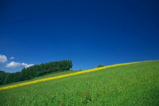 f:id:souma1996:20170524225751j:image