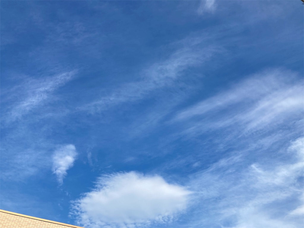 f:id:soundstep:20220814163139j:image f:id:soundstep:20220814163139j:image