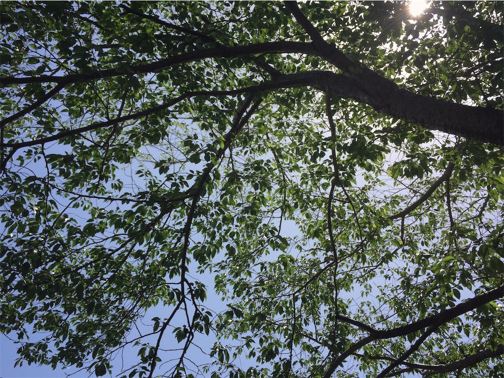 f:id:soundstep:20220817133211j:image f:id:soundstep:20220817133211j:image