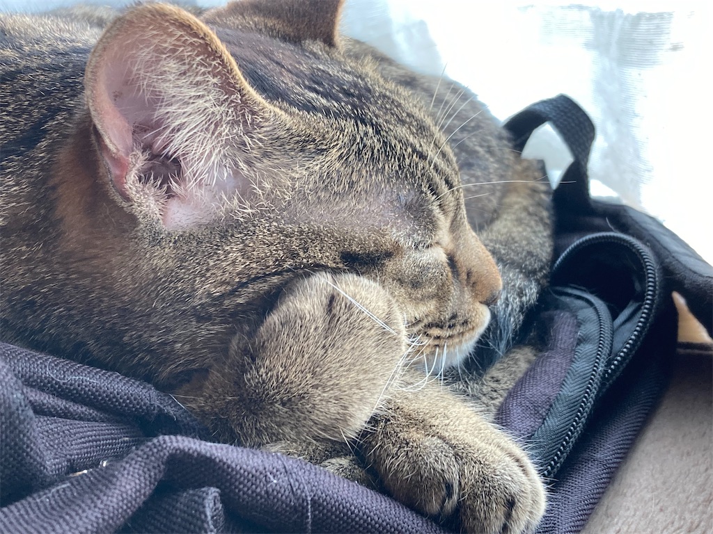 f:id:soundstep:20230508144654j:image f:id:soundstep:20230508144654j:image