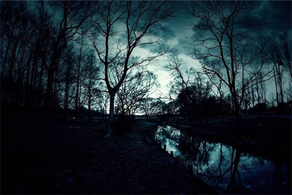 f:id:soundstep:20240306233310j:image f:id:soundstep:20240306233310j:image