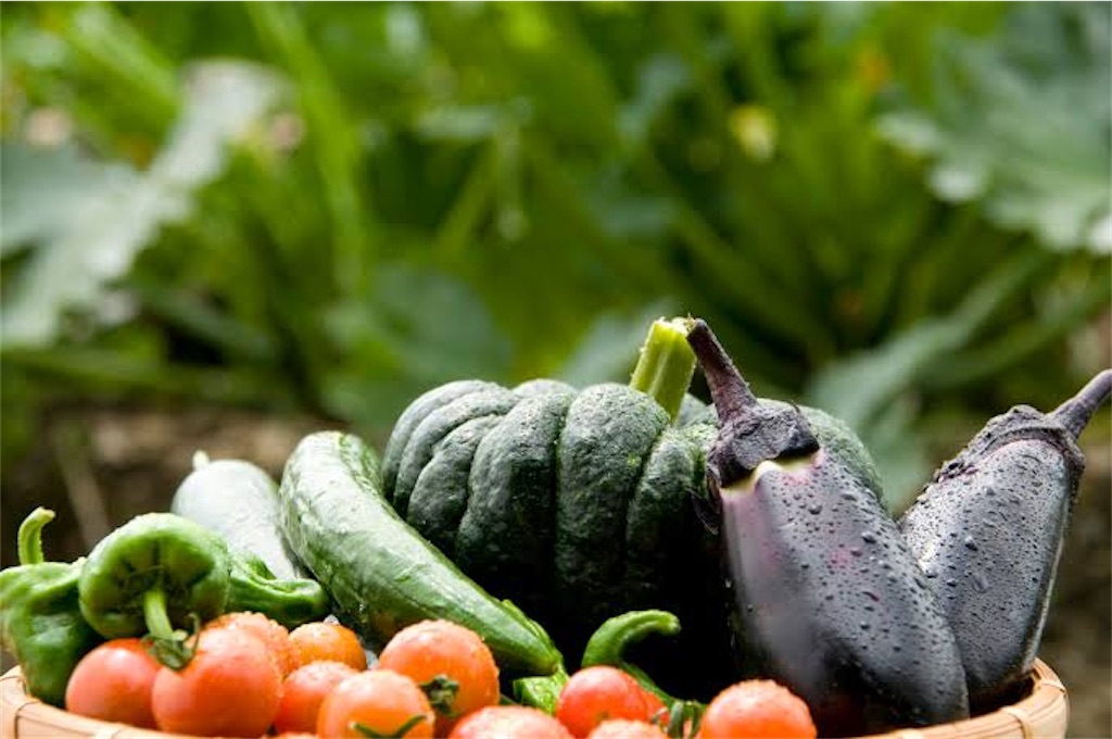 f:id:soundstep:20240717225554j:image f:id:soundstep:20240717225554j:image