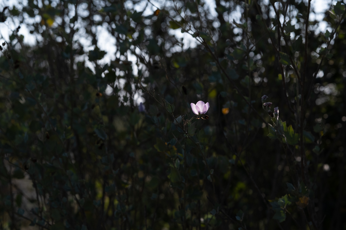 f:id:soundtraveller:20201029095006j:plain f:id:soundtraveller:20201029095006j:plain