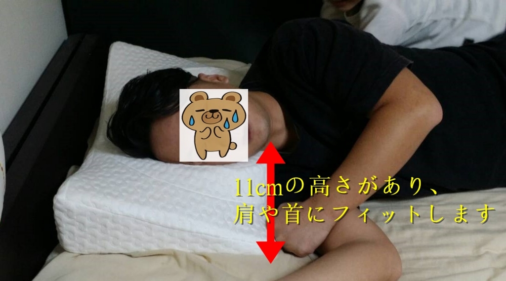 f:id:sounosuke040401:20170430000514j:plain f:id:sounosuke040401:20170430000514j:plain