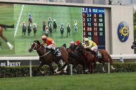 f:id:sousuke621:20170602182613j:plain