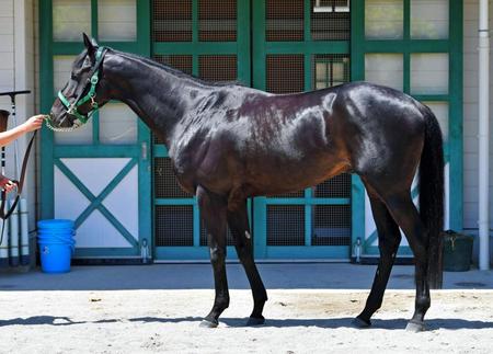 f:id:sousuke621:20170619181450j:plain