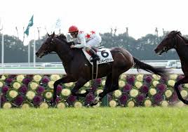 f:id:sousuke621:20170620220555j:plain