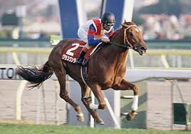 f:id:sousuke621:20170621094622j:plain