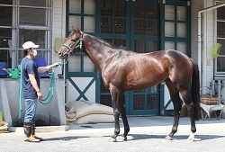 f:id:sousuke621:20170621100016j:plain