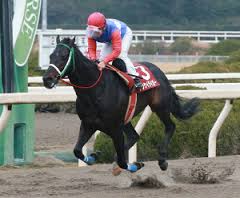 f:id:sousuke621:20170707182643j:plain f:id:sousuke621:20170707182643j:plain
