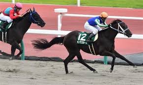 f:id:sousuke621:20170710095130j:plain